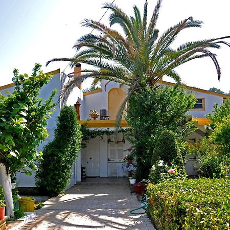 Villa Elena Studios Dassia  Exterior foto